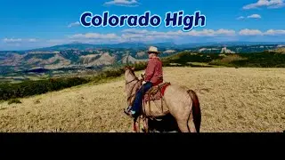 New pastures and New Horses