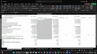 Income statement and balance sheet Common size Year Over year