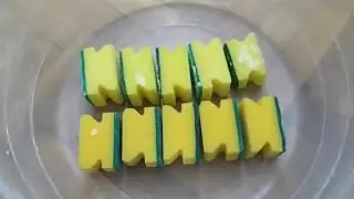 Kitchen Sponges Dry Ripping / Sponge ASMR