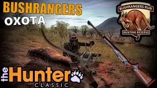 Жаркая Охота В Пустыне The Hunter Classic