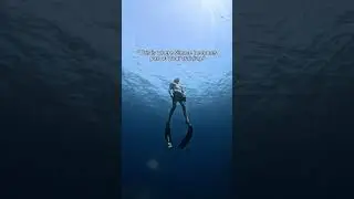 Freediving in Panglao: Train in Silence & Master Your Breath | Freedive Academy