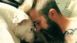 Este Perro Cambió la Vida de un Veterano con Estrés Postraumático