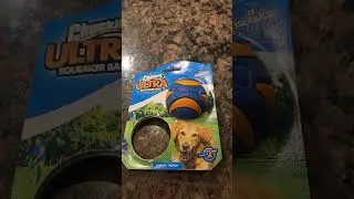Chuckit! Ultra Squeaker Ball Dog | Fetch Fun for Dogs!