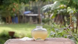 Rice Water Hair Growth Gel with Flaxseed & Curry Leaves | New Combo for Stronger Hair