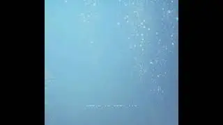 利光雅之 / スイソウ