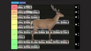 CS2: USP-S Tier List  ft. click42