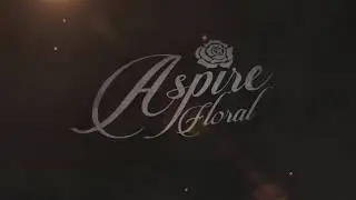 Valentines Day Flower Specials Albuquerque