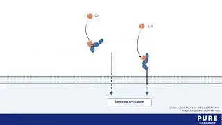 IL-6R Trait - Pure Encapsulations