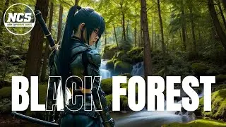 Black Forest 🎧| NCS - Now Copyright Songs | Free Music + Lyrics