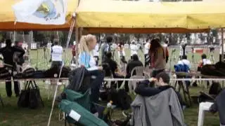 FITA 1440 Rosario 2013