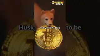 Husky Inu ($HINU) Presale Smashes Expectations!