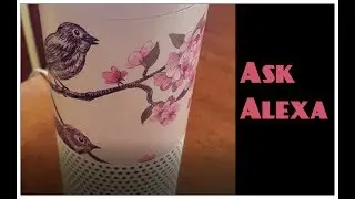 Just For Fun: Alexa Answers Life's Most Important Question  Twice