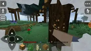 Be careful for flu in Survivalcraft 2!