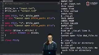 COMP2041/COMP9041 - Input and Output in Perl