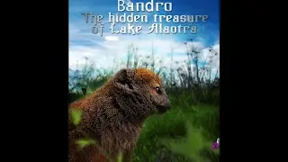 Bandro The hidden treasure of lake Alaotra