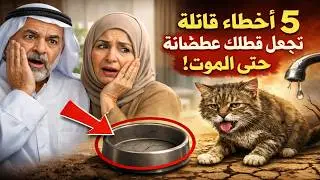 ٥ أخطاء قاتلة تجعل قطتك عطشانة حتى الموت! 🙀 هل أنت مذنب؟