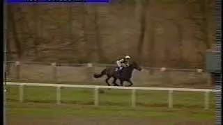 1996 Fine Lace Hunters' Chase