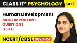 Human Development - Most Important Questions (Part 2) | Class 11 Psychology Chapter 3 | CBSE 2025-26