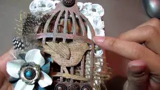Day 13 of 31 days Challenge - Birdcage Project