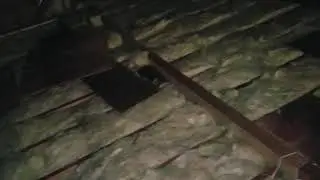 Bat Contamination Cleanup Montgomery NJ 732-698-8387