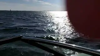 Cobalt 30 SC
