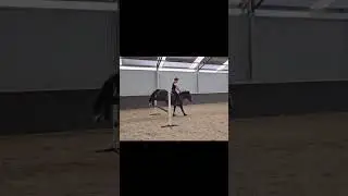 little older squid video ☺️ please dm the eq i had just ridden bareback 🙏