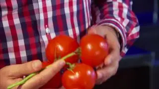 Everything you Need to Know About Tomatoes | Chef David Rocco