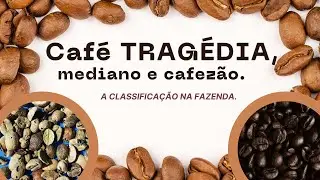 CAFÉ TRAGÉDIA, mediano e cafezões. A classificação.