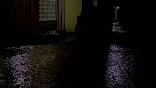 Cozy Rain White Noise for Deep Sleep & Total Relaxation