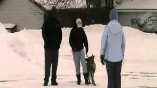 9 month old Roxy doing obedience
