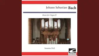 Brandenburg Concerto no. 3 in G major BWV 1048 - 1. Satz - 2. Satz