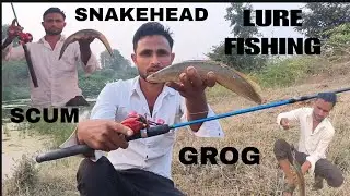 LURE FISHING| Snakehead Fish Catch | Hunting Snakehead |मरेल मछली  machhliyan| How To snakehead fish