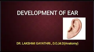 EMBRYOLOGY/ DEVELOPMENT OF EAR AND ITS ANOMALIES