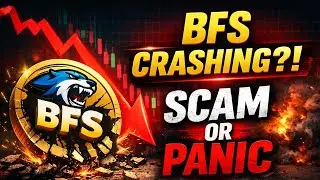 BFS CRASH ALERT: WHALE DUMPS, FAKE HOLDERS & MARKET PANIC &ndash; BFS COIN