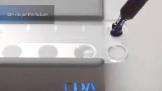 Welcome to CDA&acute;s world! (English)