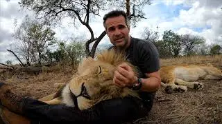 Membership Intro Video | The Lion Whisperer