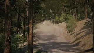 Setup McRae R4 Rally Chile Hualqui EA WRC