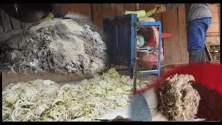 Qhia Vaum Tsawb Pub Npua Kev Tu Npua Yuav Tau Xyaum Thiaj Paub