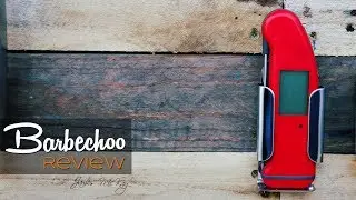 Thermapen Professional Review | Barbechoo Review
