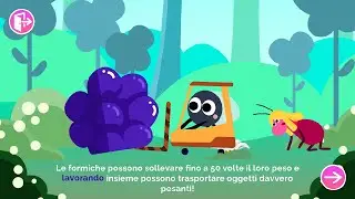 Tip Ants -  Story of Logical Relationships Between Objects for Children of 3 Years