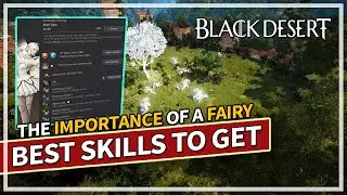 The Importance of a Fairy & Priority Skills to Get | Black Desert