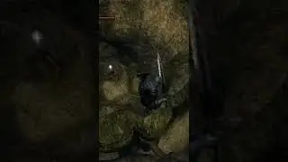 Dark Souls Chloranthy Ring (Stamina Ring Location Guide) #shorts #darksouls #ring #shortvideo