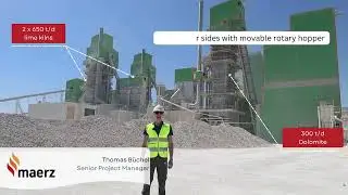 Lime Plant