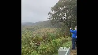 Best fall 2020 - BLue Ridge Parkway -Asheville NC