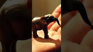 A tiny elephant in your palm #aivideo #babyelephants #cuteanimals #macrophotography #tinyelephants