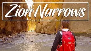 Hiking the Zion Narrows - Zion National Park