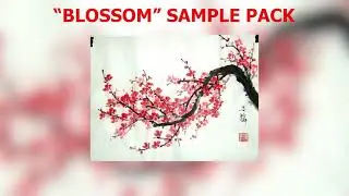 FREE Loop Kit/Sample Pack - 