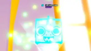 1ST PERSON TP HATCH HUGE HOLOGRAPHIC SHARK ON REC