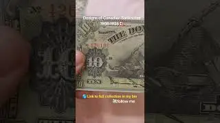 ✅️rarepapermoney.myshopify.com   ❤️Our Store for Souvenir Banknotes❤️ #usbanknotes #money #canada