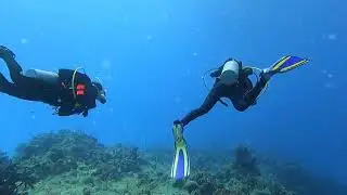 Cozumel Papa Hogs Dive 3 21
